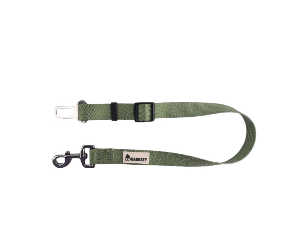 Barksey Green Adventure Walking Set