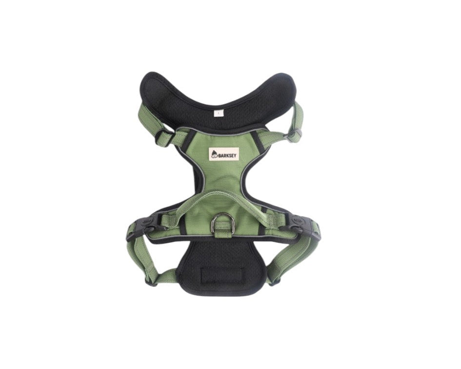 Barksey Green Adventure Walking Set