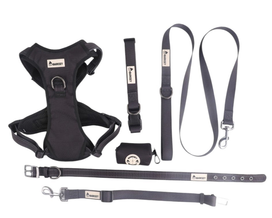 Barksey Balck Adventure Walking Set
