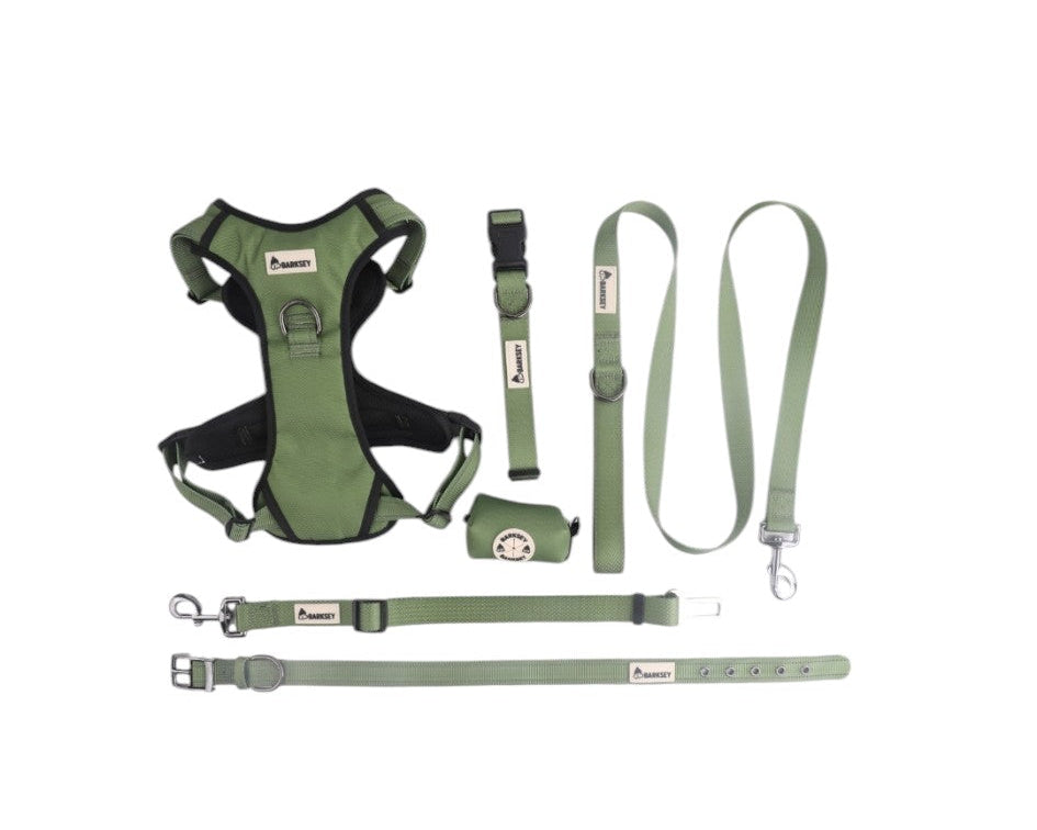 Barksey Green Adventure Walking Set